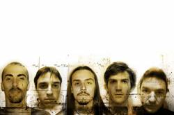 interview Manimal (FRA)